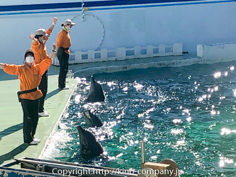しながわ水族館は値段が安くて見どころ多い ショーは全部みるべし 生活大百科