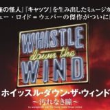 『ホイッスル・ダウン・ザ・ウィンド・汚れなき瞳』のあらすじ【2020年ミュージカル】